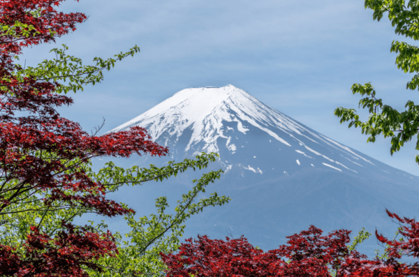 Japanese whistleblowing